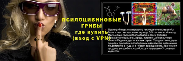 spice Сосновка
