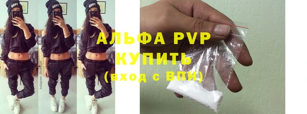 ПСИЛОЦИБИНОВЫЕ ГРИБЫ Сосновый Бор