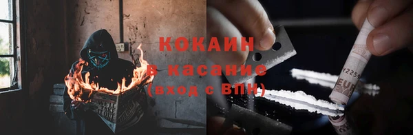 ПСИЛОЦИБИНОВЫЕ ГРИБЫ Сосновый Бор
