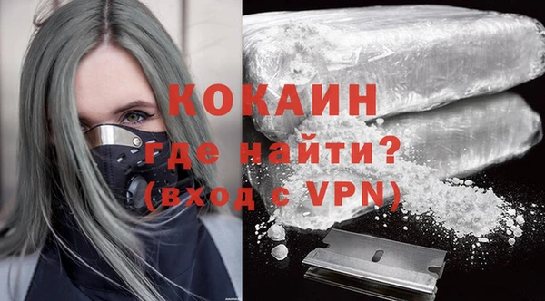 ПСИЛОЦИБИНОВЫЕ ГРИБЫ Сосновый Бор