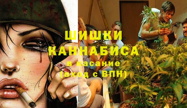 spice Сосновка
