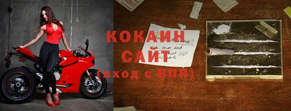 ПСИЛОЦИБИНОВЫЕ ГРИБЫ Сосновый Бор